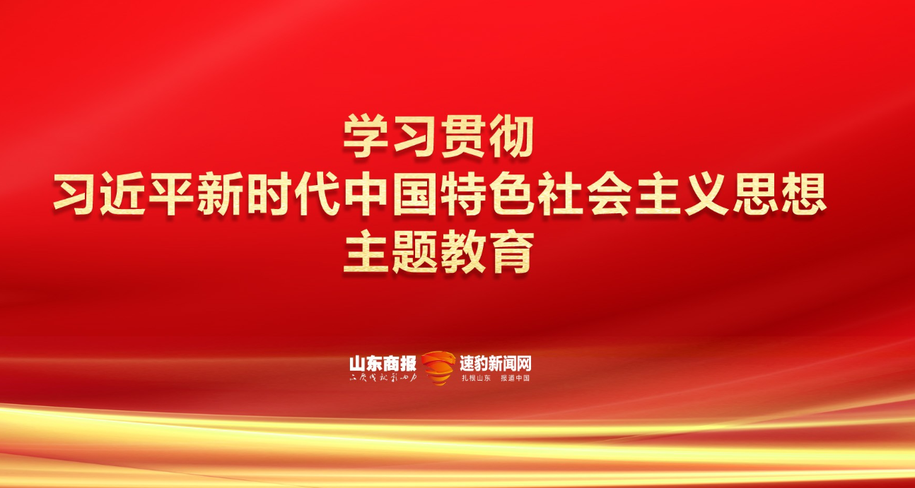 魯商集團：做好“結合”文章，多層次立體化推動主題教育走深走實